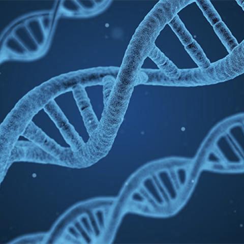 stock image of DNA