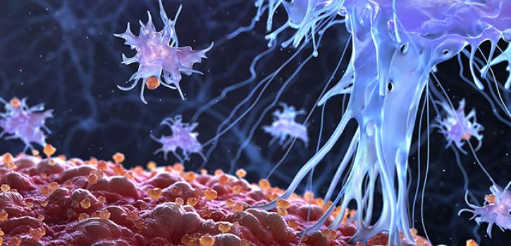 stock immune cells
