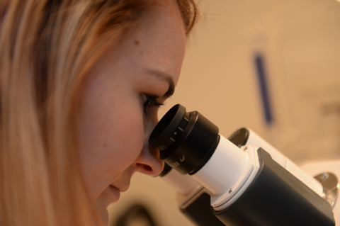 BSTP student looking through microscope