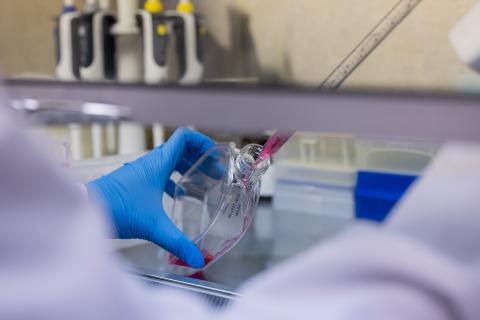 Researcher using a pipette in a lab.