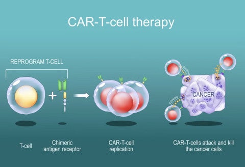 CAR-T cell graphic showing how therapy works