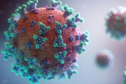 An illustration of a disease