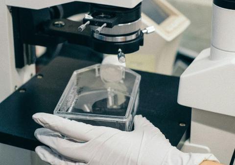 A close-up of someone using a microscope
