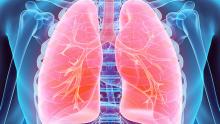 stock image of lung graphic