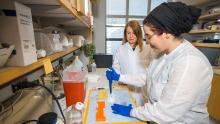 Image of two people working in case comprehensive cancer center lab