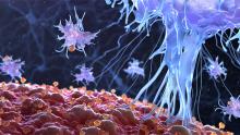stock immune cells
