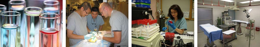 Multiple images of people doing research, lab equipment, and doctors.
