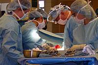 Surgery room with doctors