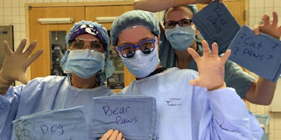 Cherie Kozlina (OR tech), Dr. Karem Harth, Beth McCluskey, RN in OR scubs in OR theater holing up blue signs in one hand that say Dog, Bear Paws and Cat Paws, and imitating paws with their other hand