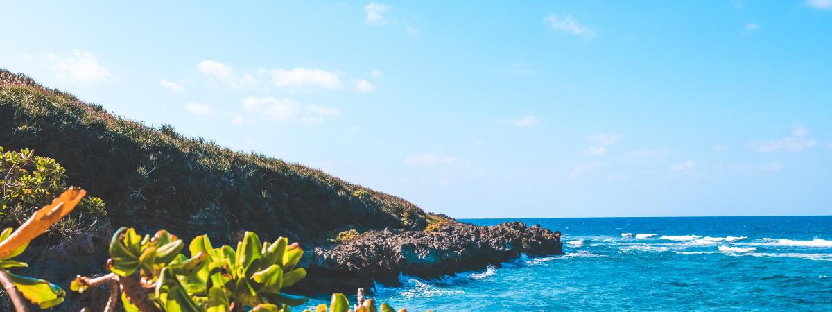 Image of a beach with blue water and clear blue sky.