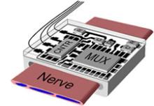 Illustration of Nerve Cuff Recording electrode with embedded multiplexor.