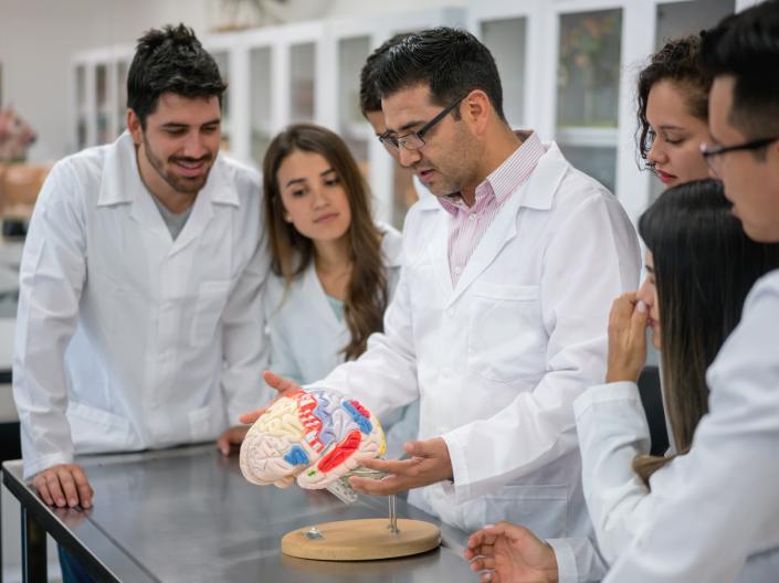 Group of medical students in an anatomy class at the university looking at a brain model