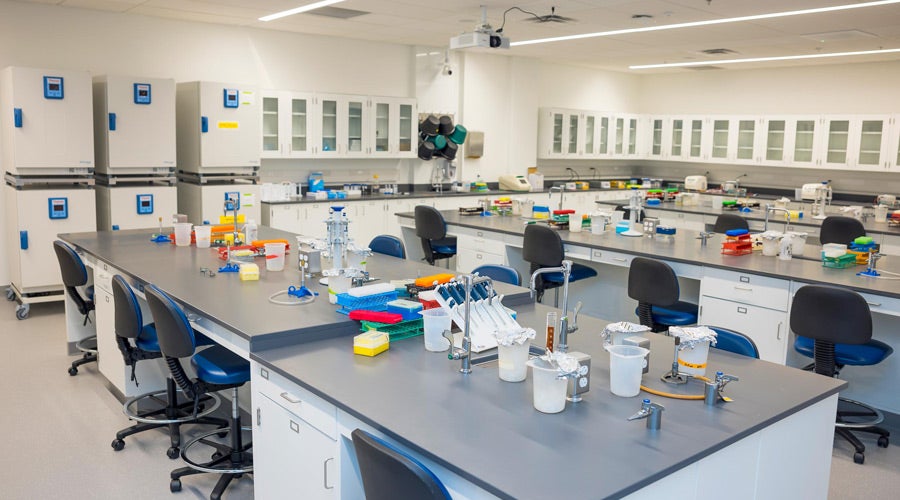 Bright, modern laboratory with gray countertops, organized equipment, storage cabinets, and high blue stools, conveying a clean, professional atmosphere.