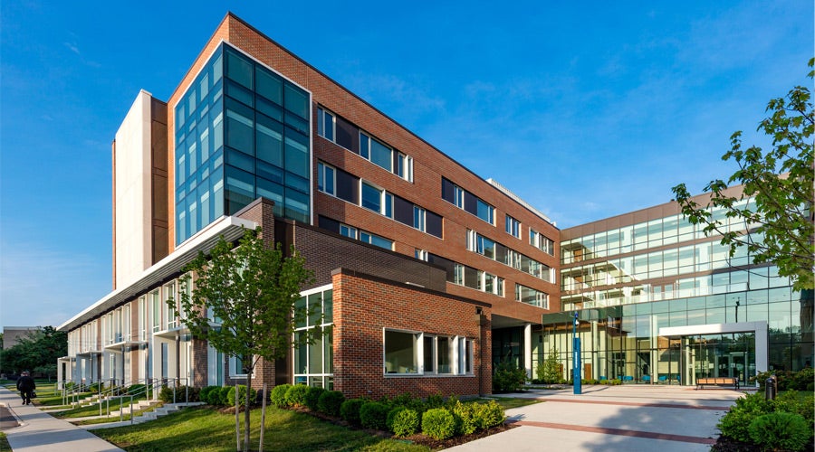 Modern building with large glass windows and brick exterior, surrounded by greenery under a clear blue sky, exuding a welcoming atmosphere.