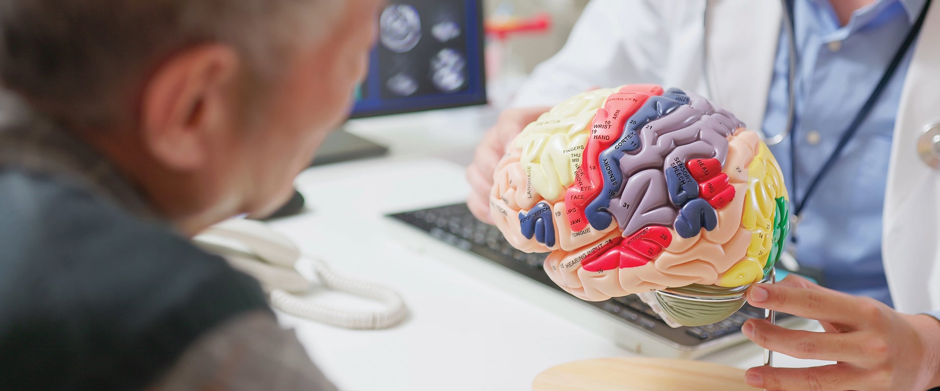 A doctor in a white coat shows a colorful anatomical brain model to an older man in an office setting, conveying a tone of education and care.