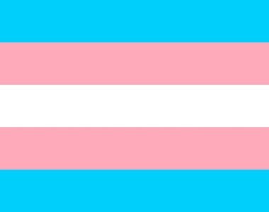 Photo of the transgender pride flag