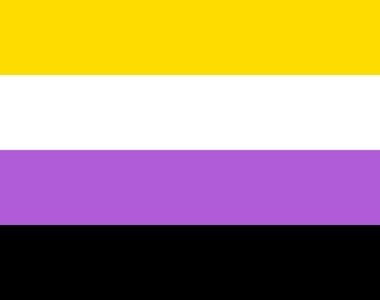 Photo of the non-binary pride flag
