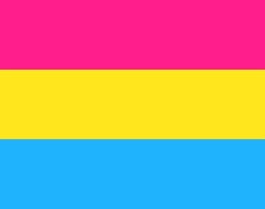 Photo of the pansexual pride flag