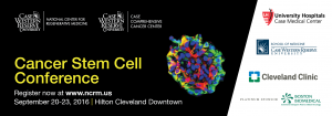 Cancer Stem Cell Conference flyer