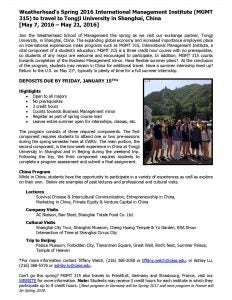 MGMT 315 course flyer