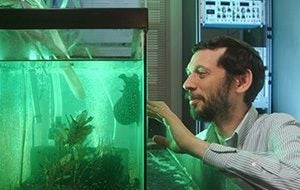 Hillel Chiel with one of the slugs used in the study. Photo by Mike Sands.