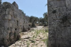 Cosa 300x199