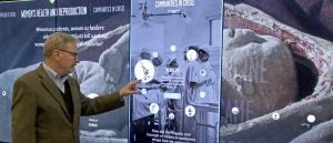 Museum curator demonstrates digital wall. 