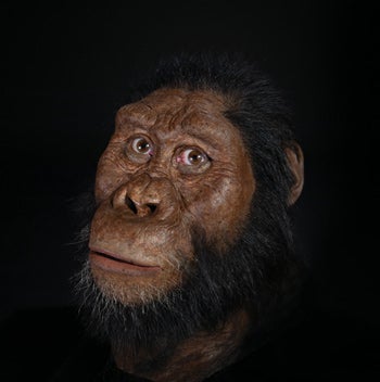 Facial reconstruction of early human ancestor