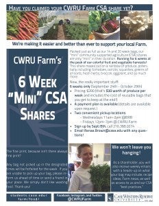 CSA