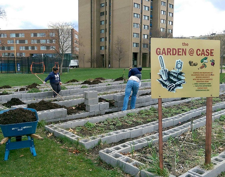 A photo showing plant beds at the Garden@Case