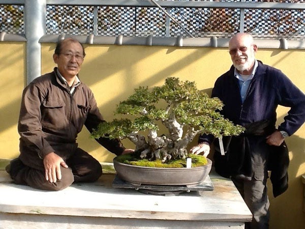 Mel Goldstein bonsai