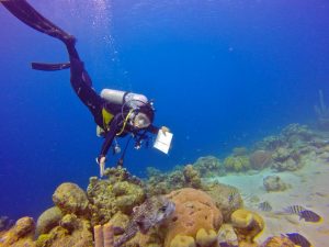 Belle Perez' Ocean Exams