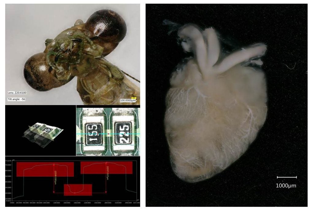 example images from Keyence VHX 5000