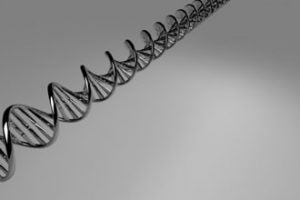 RNA-hp-300x200.jpg