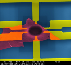 SEM image