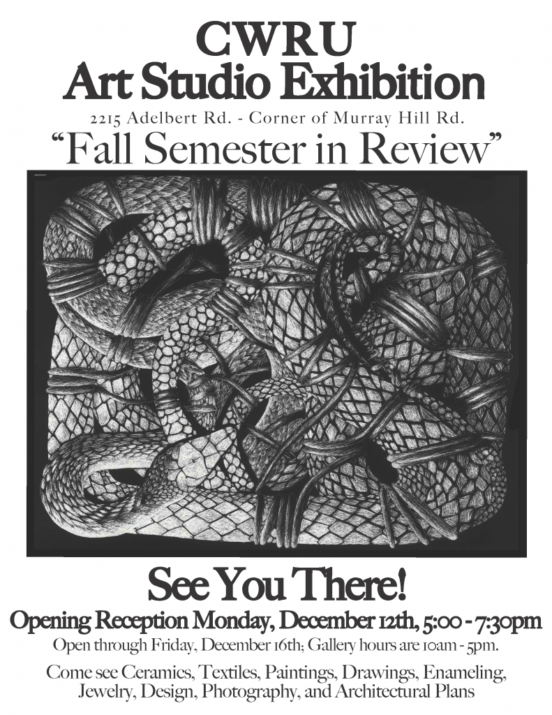 Semester In Review Fall 2011 Poster Snake 791x1024