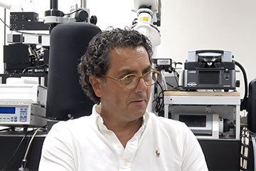 Strangi