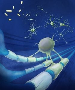 illustration of stem cell remyelination