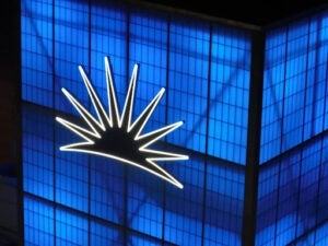 Veale_Blue_sunburst 1 300x225