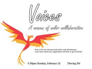 Voices: A Women of Color Collaborative mixer flyer