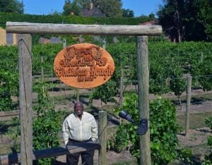 Mansfield Frazier at The Vineyards and BioCellar of Château Hough