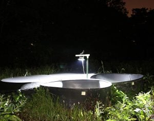 photo of the artificial ponds