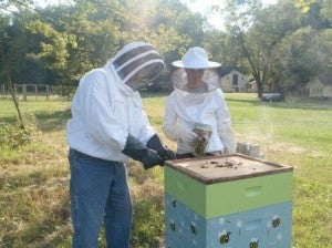 beekeping at University Farm