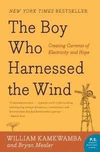 Boy Harnessed Wind 199x300