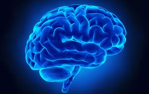 Brain Feat1
