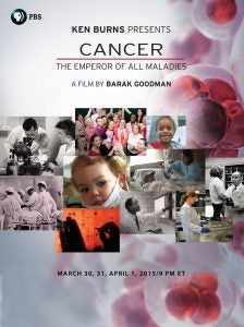 idea stream cancer series flyer