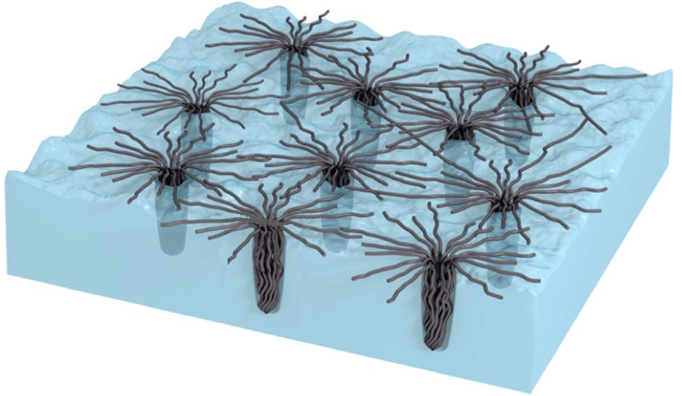 diagram of bundled carbon nanotubes penetrating and forming web-like structures on a copper foil surface.