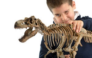 child playing with dinosaur model on white background