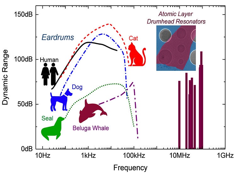 illustration comparing hearing of man and animals