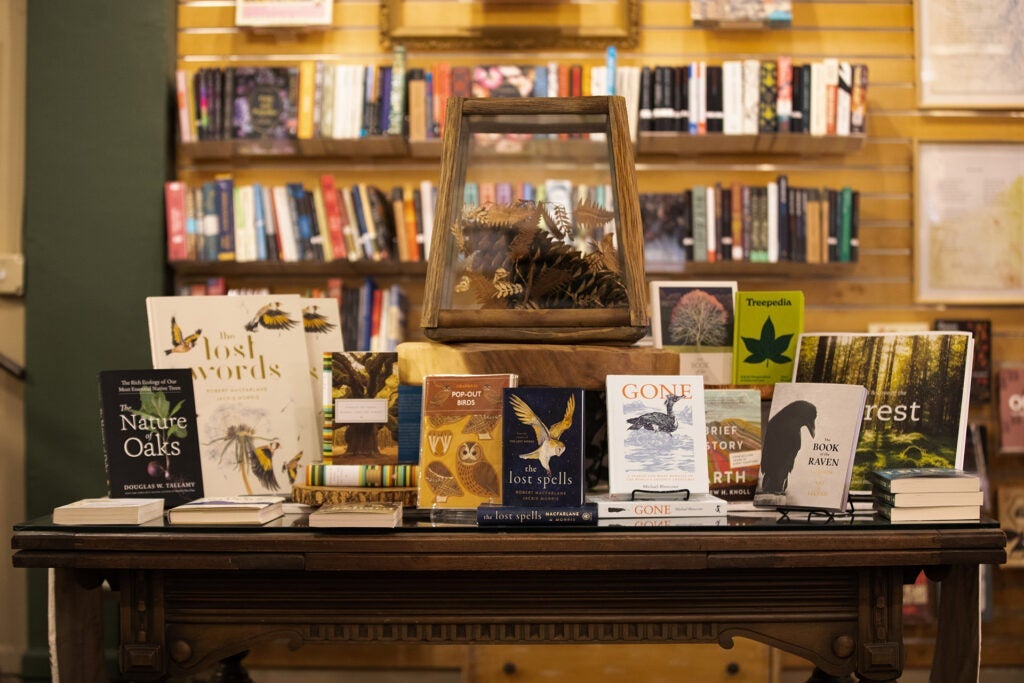A stand with lots of books on top